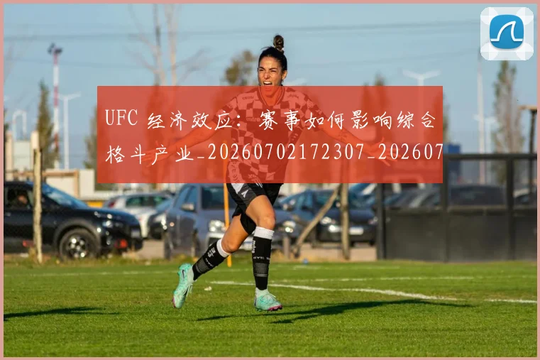 UFC 经济效应：赛事如何影响综合格斗产业_20260702172307_20260714215833