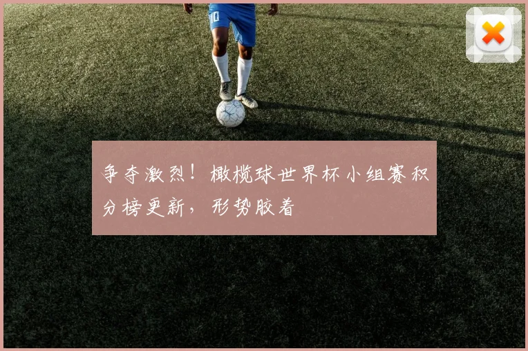 争夺激烈！橄榄球世界杯小组赛积分榜更新，形势胶着